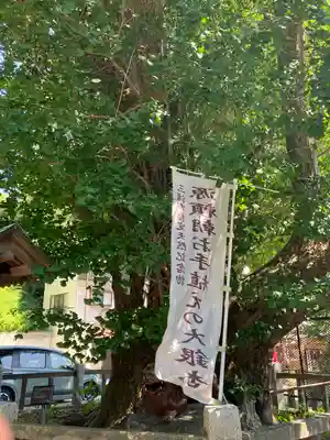 海南神社(神奈川県)