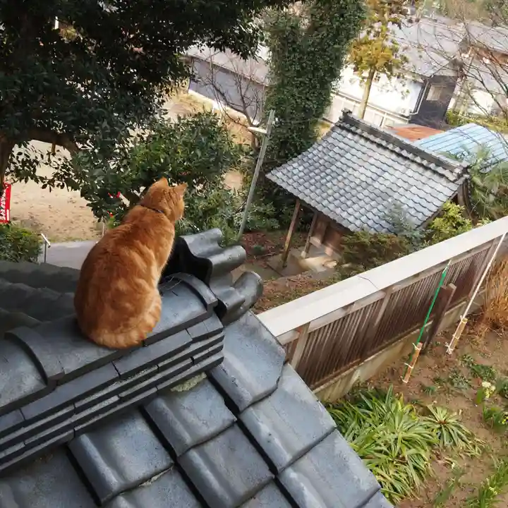 天王山 安楽寺(福井県)