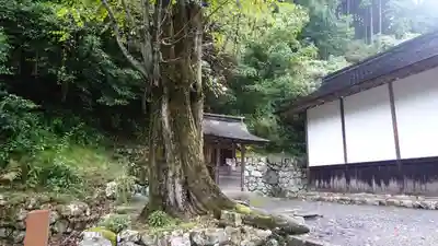 日吉大社(滋賀県)