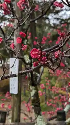 長岡天満宮(京都府)
