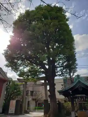 麻布氷川神社(東京都)