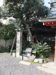 大将軍八神社の自然