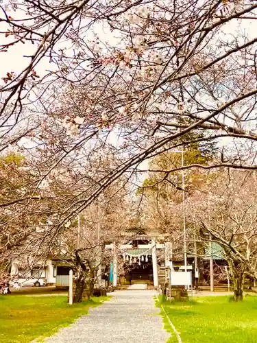 金村別雷神社(茨城県)