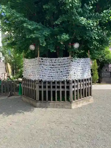 天祖神社の{uncategorized: "未分類", other: "その他", undefined: "問題あり", building: "その他建物", grave: "お墓", sacred_gate: "鳥居", guardian: "狛犬", statue: "像", buddha: "仏像", history: "歴史", nature: "自然", garden: "庭園", animal: "動物", pagoda: "塔", temizu: "手水舎", mountain_gate: "山門・神門", sanctuary: "本殿・本堂", subordinate: "末社・摂社", art: "芸術", scenery: "景色", jizo: "地蔵", ema: "絵馬", goshuin: "御朱印", omikuji: "おみくじ", items: "授与品その他", amulet: "お守り", goshuincho: "御朱印帳", eats: "食事", festival: "お祭り", votive_dance: "神楽", shichigosan: "七五三参", wedding: "結婚式", experience: "体験その他", initially: "初詣", around: "周辺", anti_infection: "感染症対策"}