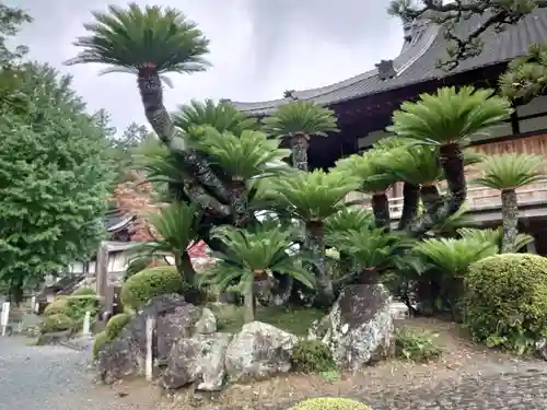 方廣寺の庭園