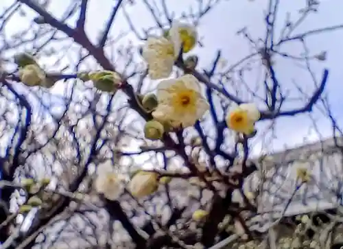 片埜神社(大阪府)
