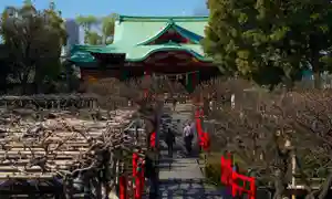 【関東】合格祈願にオススメの神社・お寺8選【2023最新版】