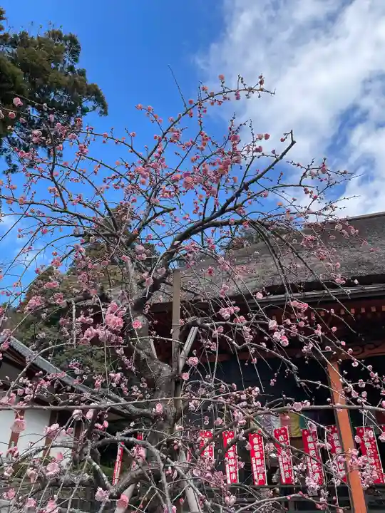 宝城坊(神奈川県)