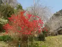 称安寺(愛知県)