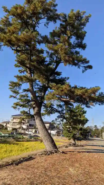 星大明社(愛知県)