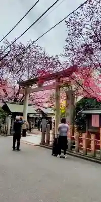 蔵前神社(東京都)