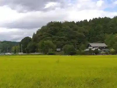 八坂神社(福井県)