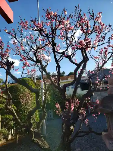 住吉神社の景色