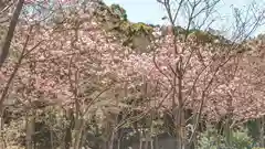 熊野若王子神社(京都府)