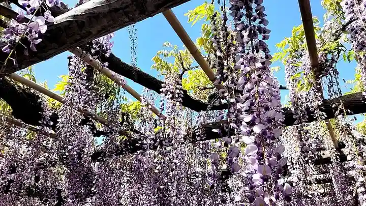 行興寺(静岡県)