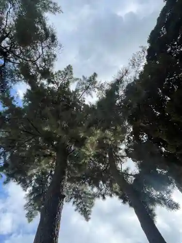 埼玉縣護國神社(埼玉県)