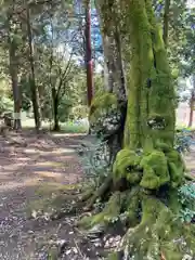 八幡神社(兵庫県)