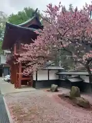 法華寺(長野県)