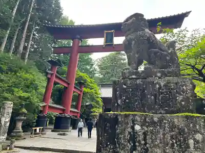 北口本宮冨士浅間神社の狛犬