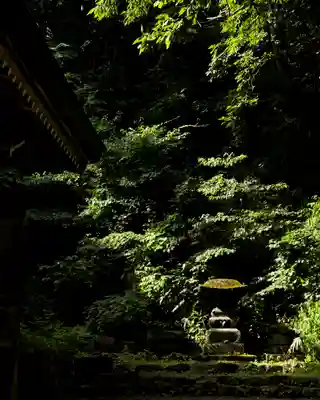戸隠神社中社(長野県)