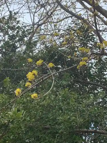 鹿嶋神社の自然