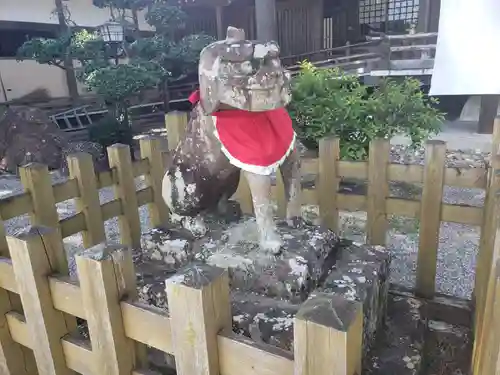 大麻比古神社の狛犬