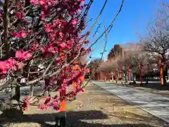 朝日森天満宮(栃木県)