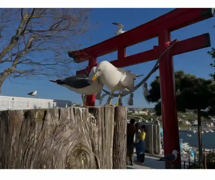 蕪嶋神社(青森県)
