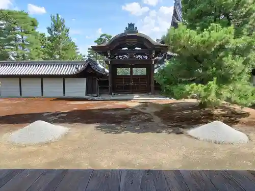妙心寺（妙心禅寺）の庭園