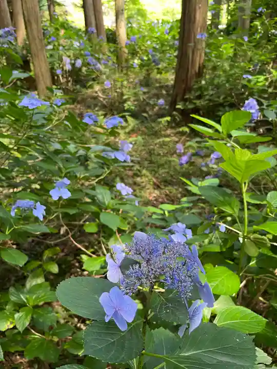 九品寺(奈良県)