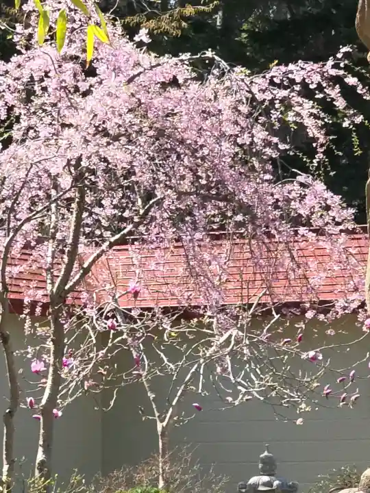 余市神社の{uncategorized: "未分類", other: "その他", undefined: "問題あり", building: "その他建物", grave: "お墓", sacred_gate: "鳥居", guardian: "狛犬", statue: "像", buddha: "仏像", history: "歴史", nature: "自然", garden: "庭園", animal: "動物", pagoda: "塔", temizu: "手水舎", mountain_gate: "山門・神門", sanctuary: "本殿・本堂", subordinate: "末社・摂社", art: "芸術", scenery: "景色", jizo: "地蔵", ema: "絵馬", goshuin: "御朱印", omikuji: "おみくじ", items: "授与品その他", amulet: "お守り", goshuincho: "御朱印帳", eats: "食事", festival: "お祭り", votive_dance: "神楽", shichigosan: "七五三参", wedding: "結婚式", experience: "体験その他", initially: "初詣", around: "周辺", anti_infection: "感染症対策"}
