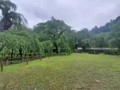 清雲寺(埼玉県)