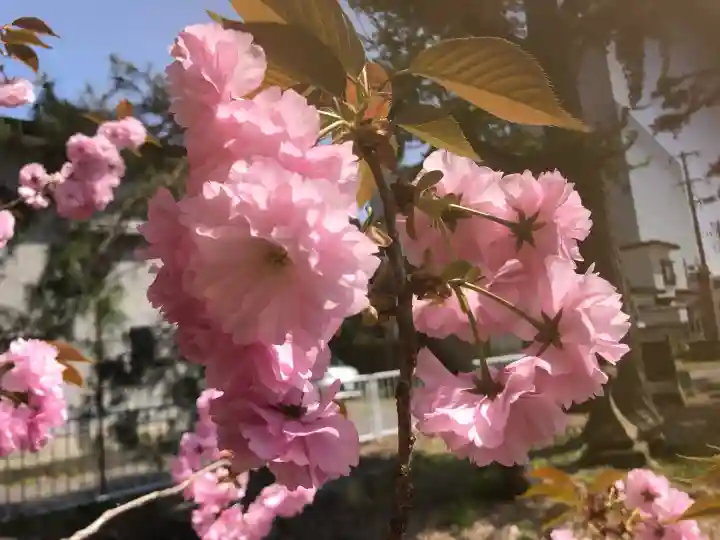 諏方神社(福島県)