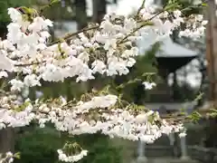 高司神社〜むすびの神の鎮まる社〜の自然