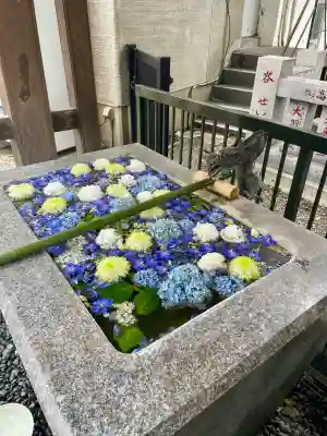 高円寺氷川神社(東京都)