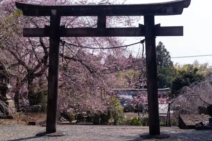 村山浅間神社(静岡県)