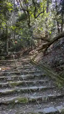 醍醐寺(上醍醐)(京都府)