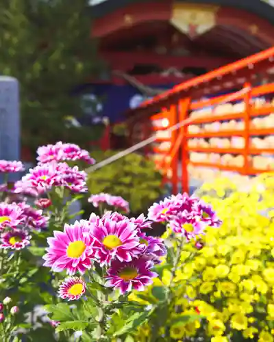 宮城縣護國神社の自然