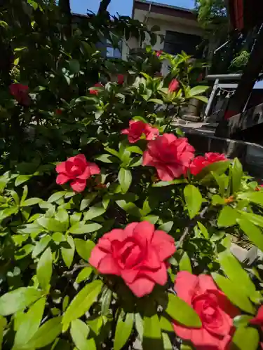 今井神社(千葉県)