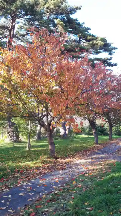 大江神社(北海道)