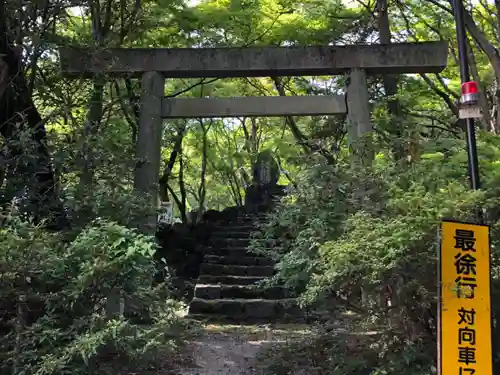 椿大神社の鳥居