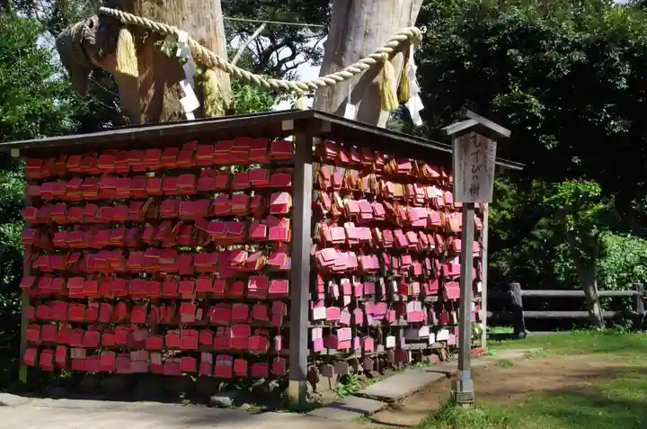 江島神社の絵馬
