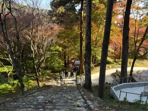 普門寺(切り絵御朱印発祥の寺)(愛知県)