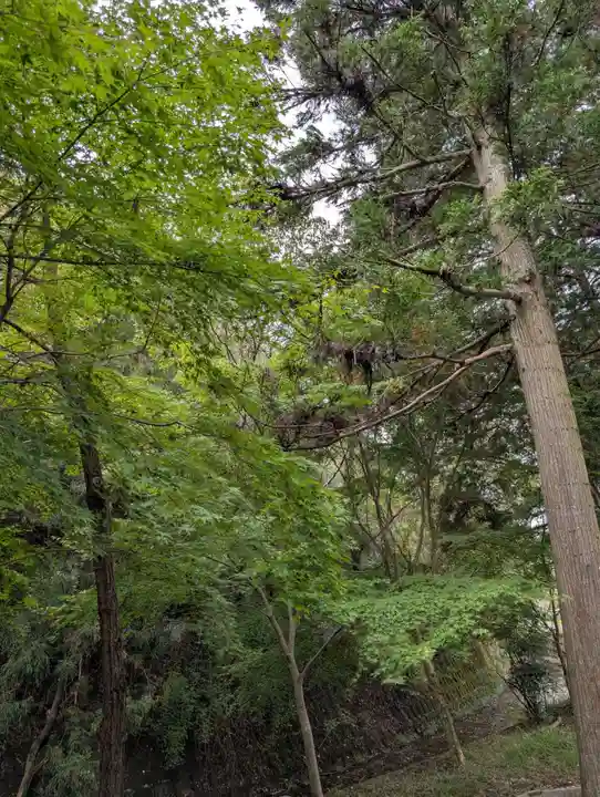 正楽寺(岡山県)