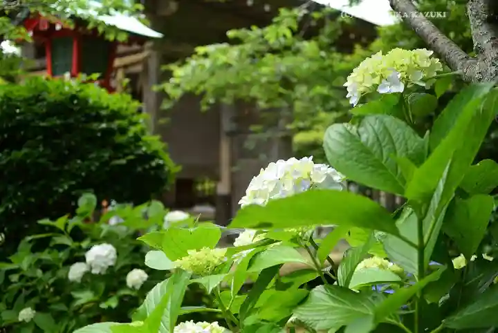 江島神社の自然