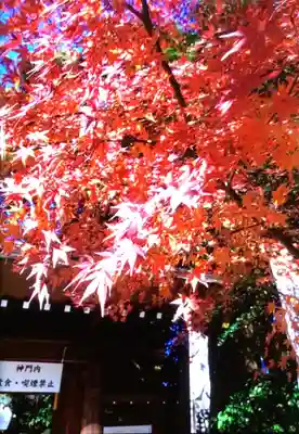 阿佐ヶ谷神明宮(東京都)