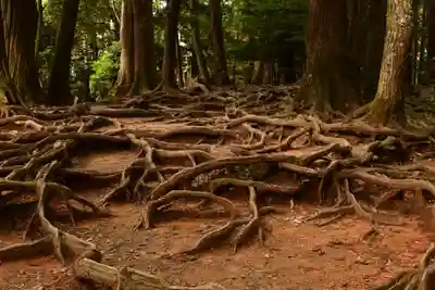 鞍馬寺(京都府)
