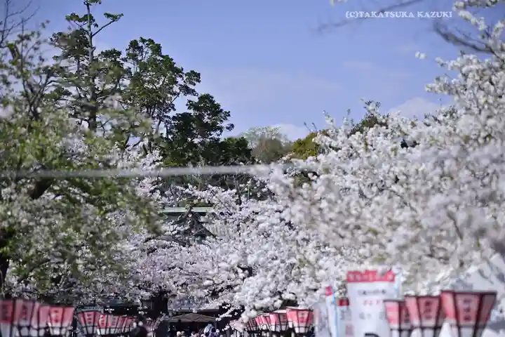 三嶋大社の自然