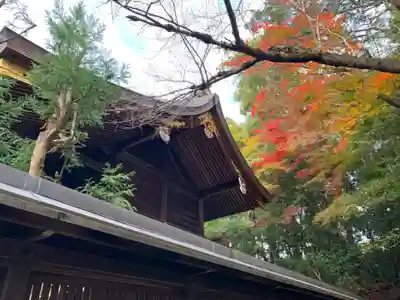 岡崎神社の本殿・本堂