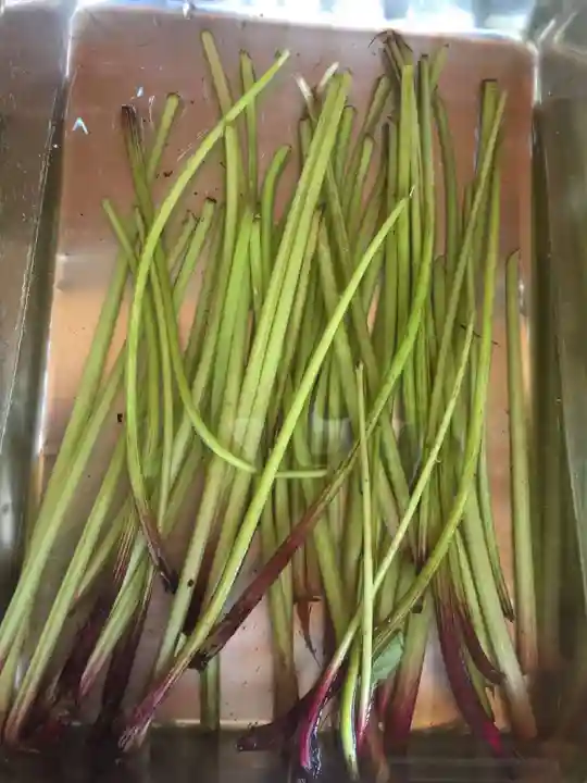 国宝 大法寺のその他建物